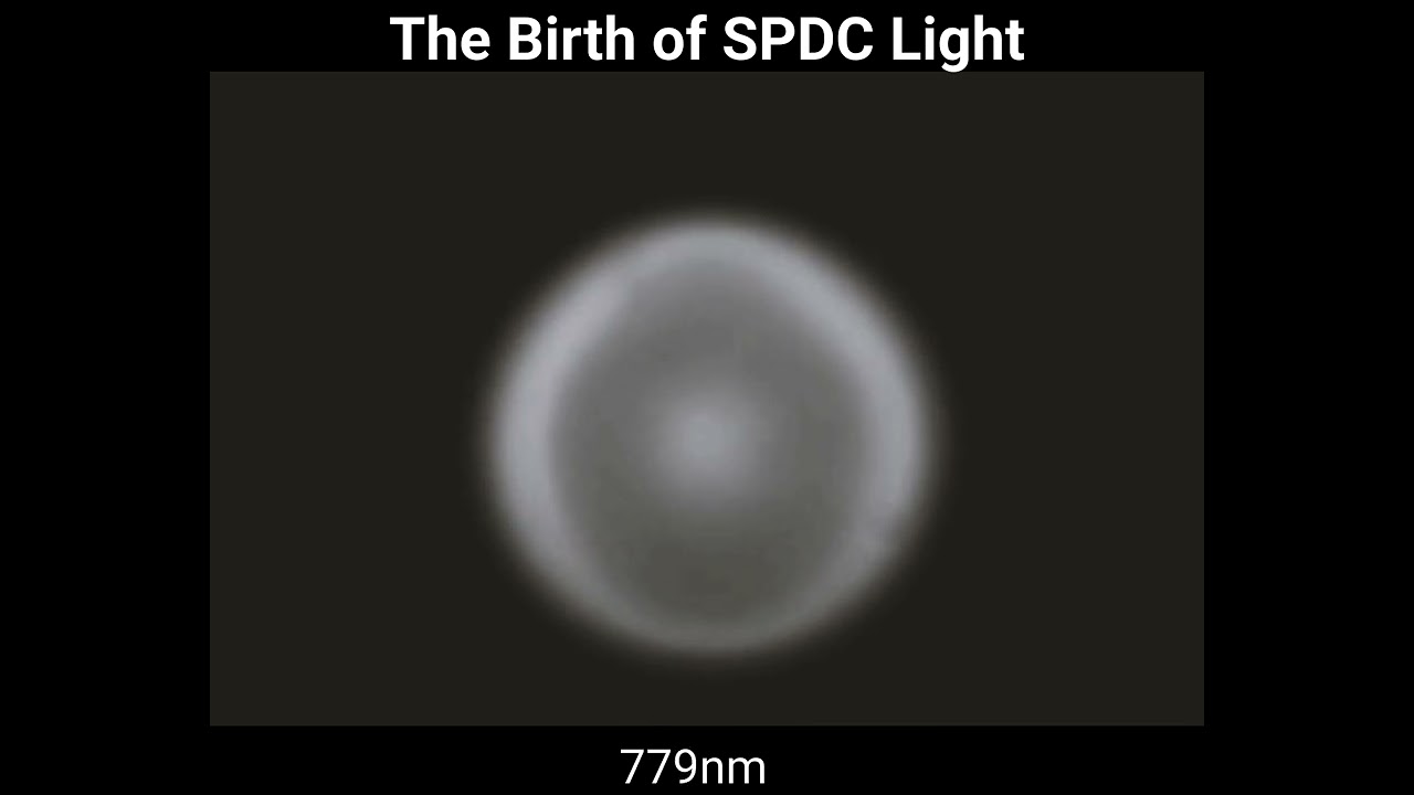 Type 1 SPDC