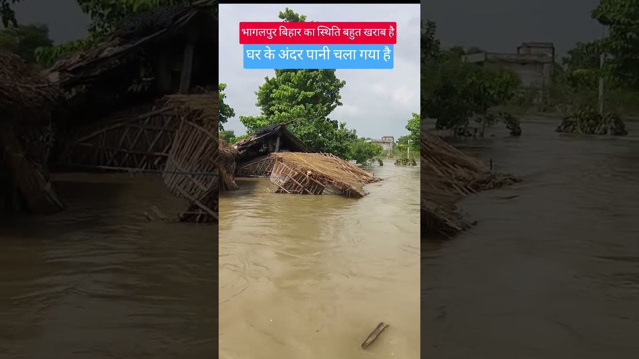 भागलपुर बिहार के सुल्तानगंज में गंगा जी का उफान चल रहा है