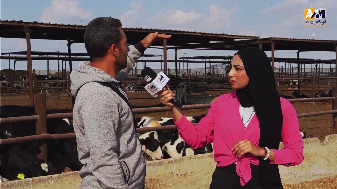 علف نباتي عالي الجودة ورعاية طبية على مدار 24 ساعة   هنا شركة «الصالحية للاستثمار والتنمية» للإنتاج