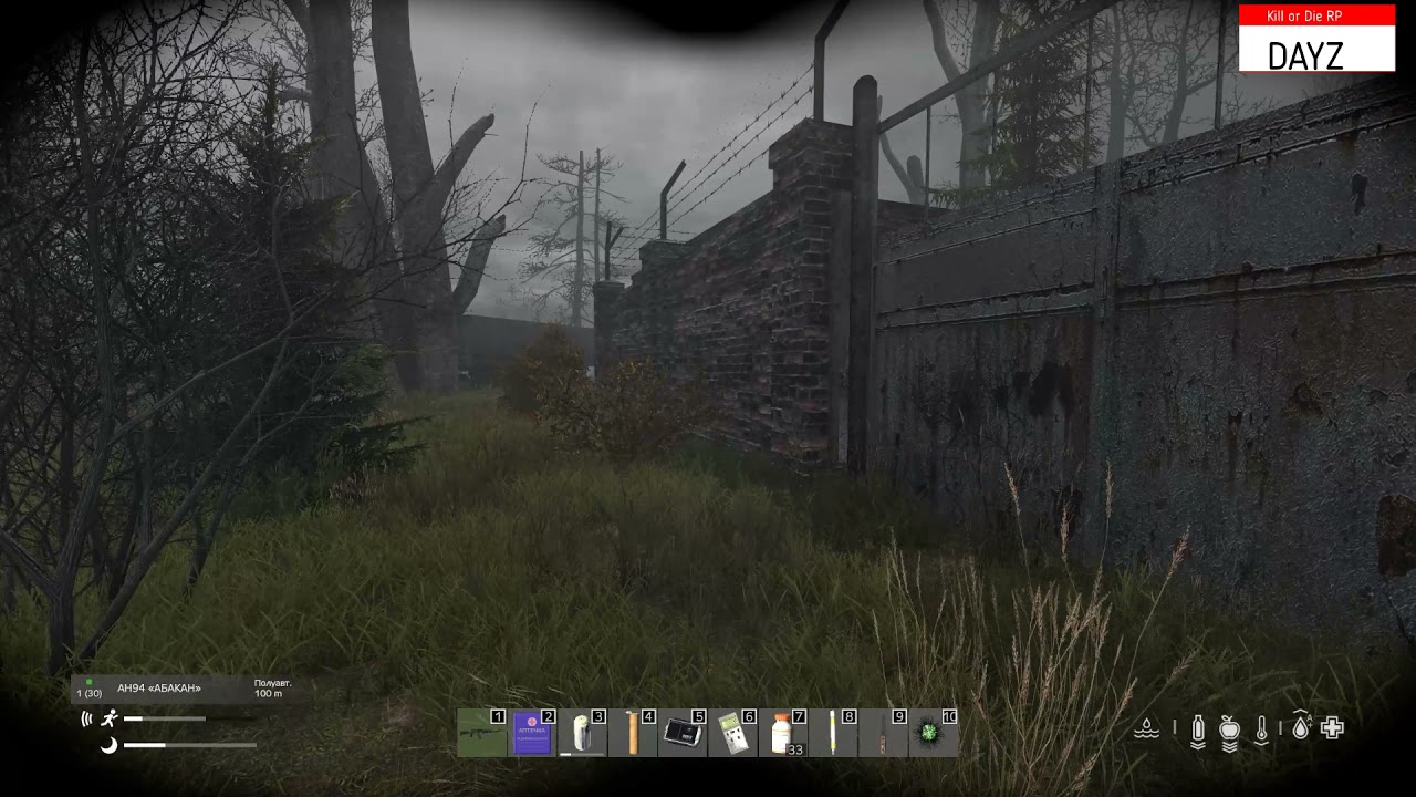 S.T.A.L.K.E.R. DAYZ RP Kill or die