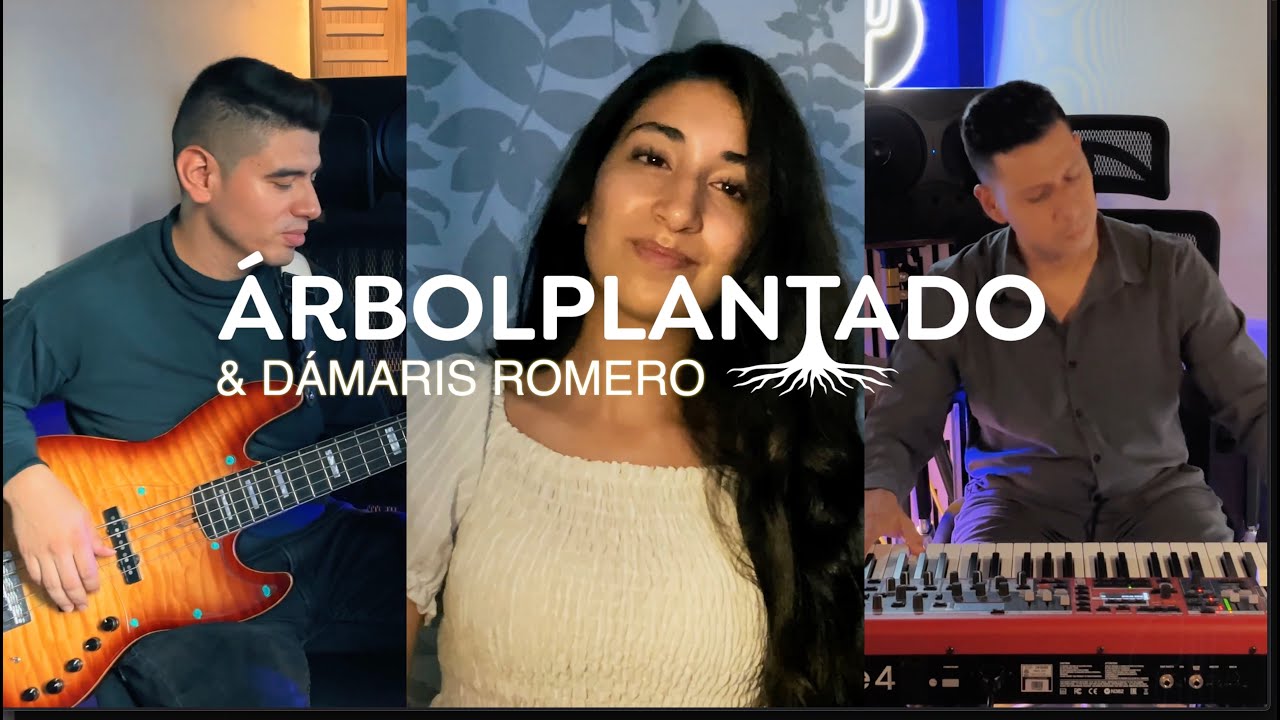 Medley Flamenco jazz | Merece la pena| Cover &Aacute;rbol Plantado @damarisromeromusic