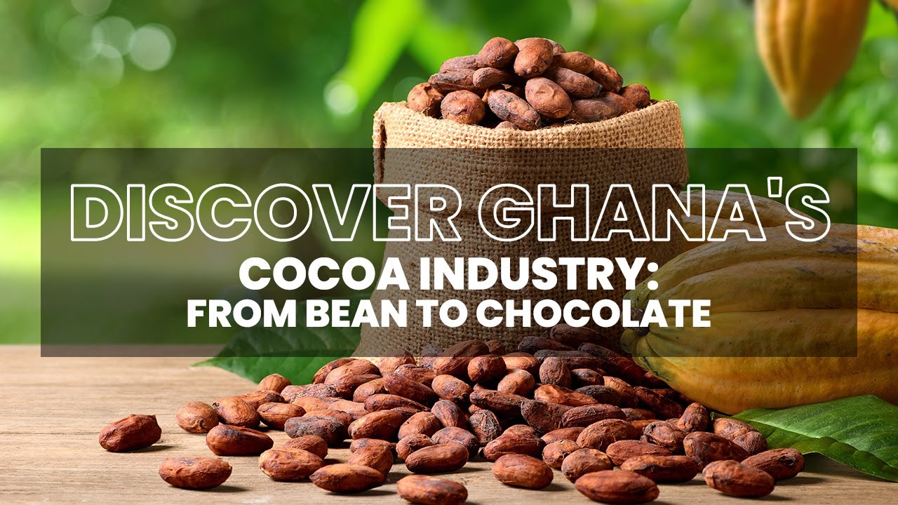 DISCOVER GHANA'S COCOA INDUSTRY: FROM BEAN TO CHOCOLATE