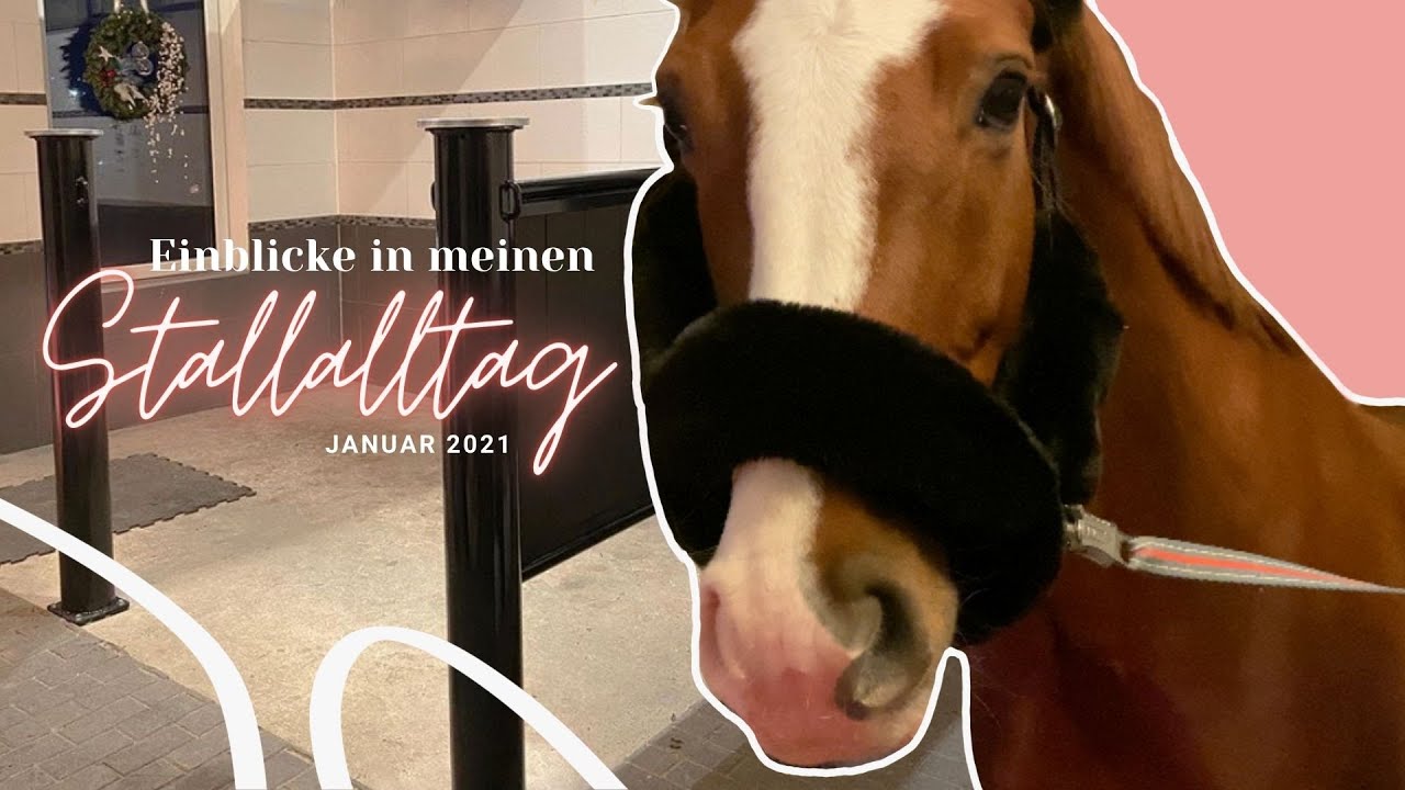 FMA | Einblicke in meinen Stallalltag | Januar 2021