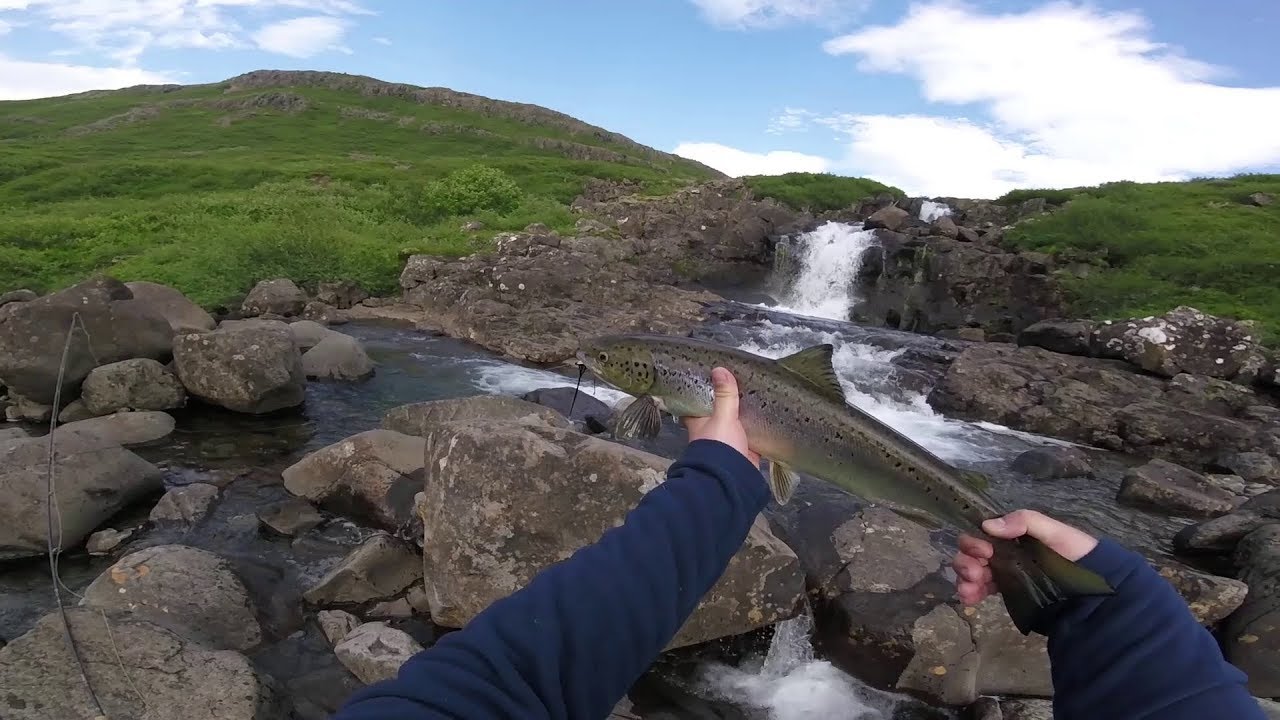 Suðurfossá á Rauðasandi 2018