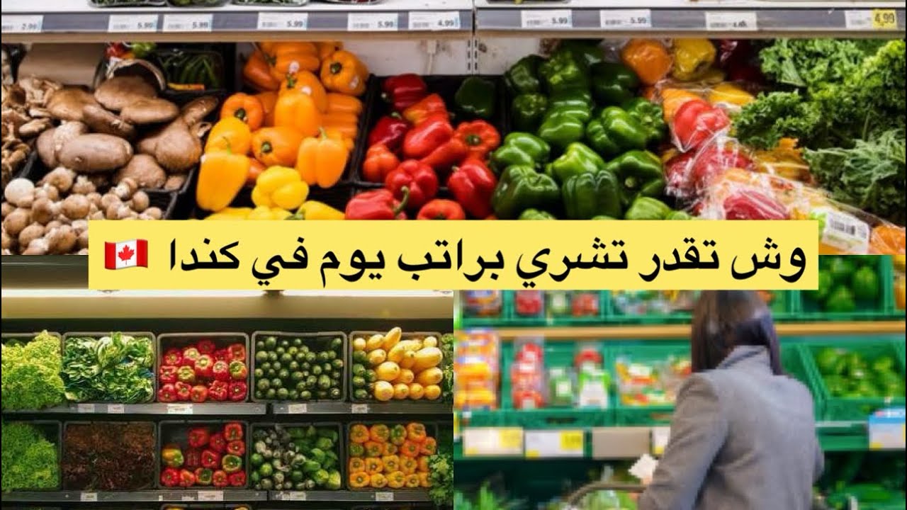 واش تقدر تشري براتب يوم واحد بالاجر الادني في مقاطعه نيوبرانزويك #كندا 🇨🇦لا تصدق 🤔
