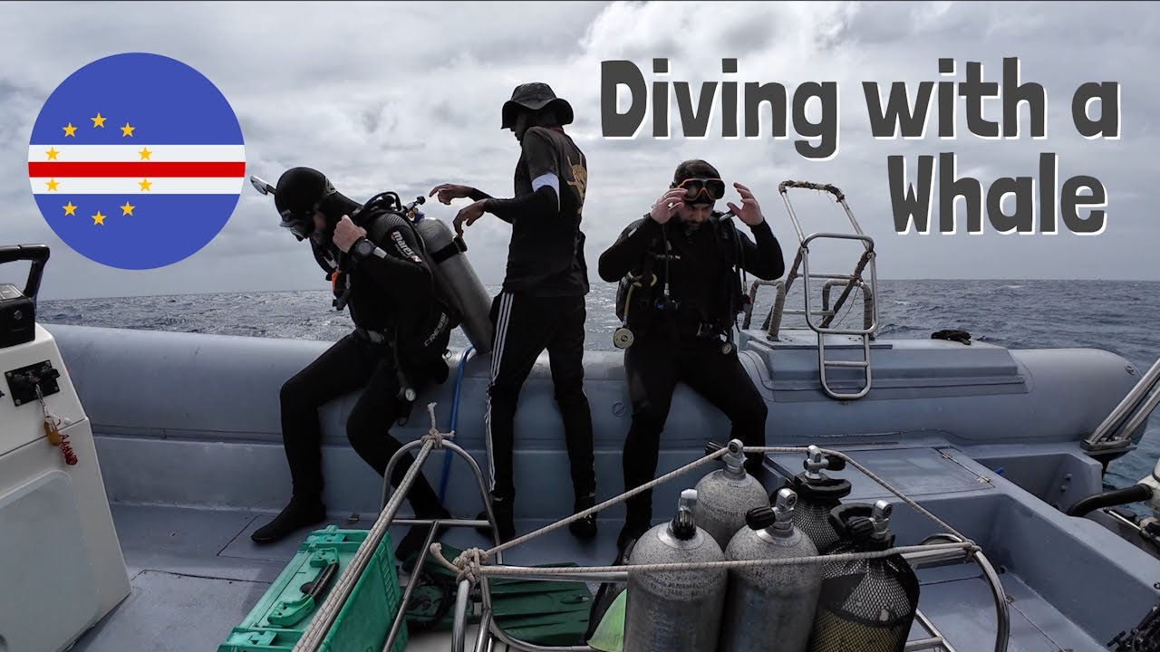 Diving at Sal, Cape Verde