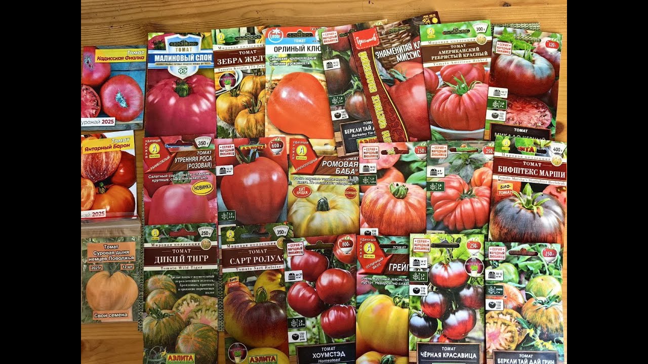 Обзор Семян Томатов 🍅2026🍅 Новые Покупки 🍅🍅