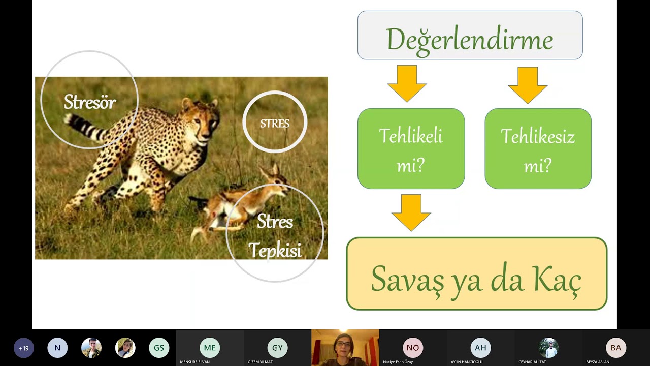 Farkındalık Seminerleri 2- (Akademik Stres Nedir? Nasıl Baş edilir?Online seminer)