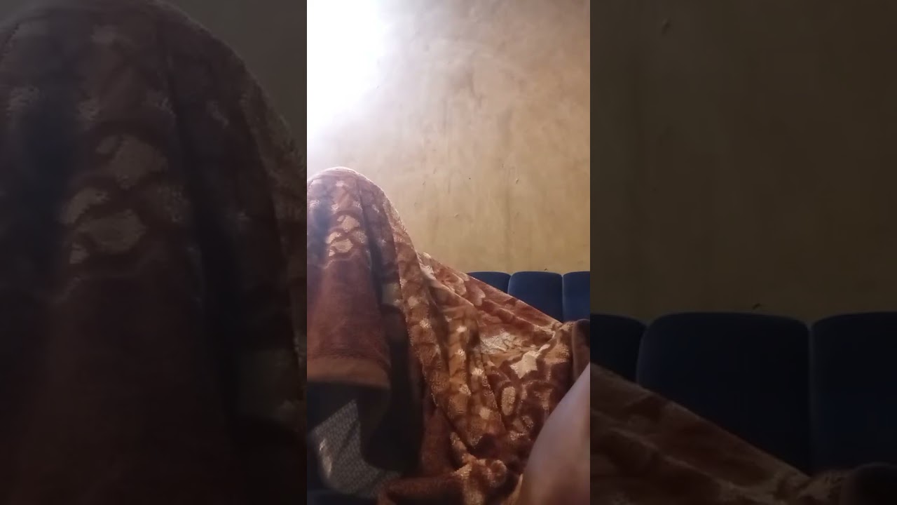 The best live sleep stream you missed yesterday 