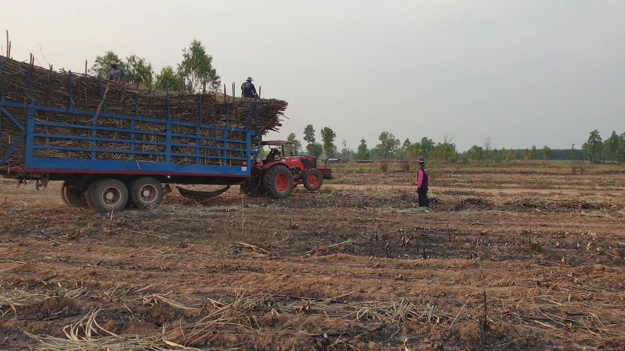 Kubota m6040su ยกล้อออกจากไร่ลากสาลี่ใหญ่ได้เหมือนกัน