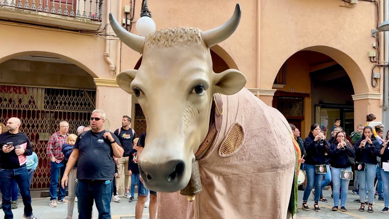 11è CORREBOUS - Sis BOUS Sis - Cercavila fins a la plaça de l'Oli - Fira de Santa Úrsula