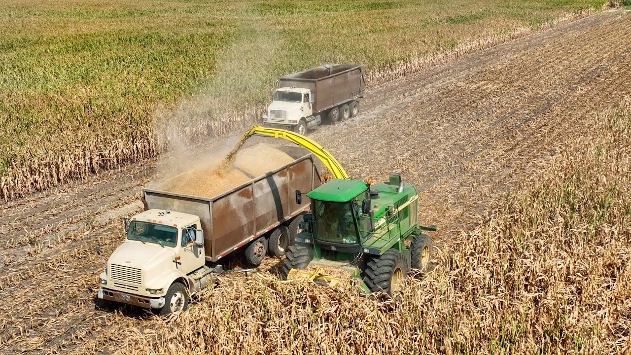 Chopping Silage in South Dakota