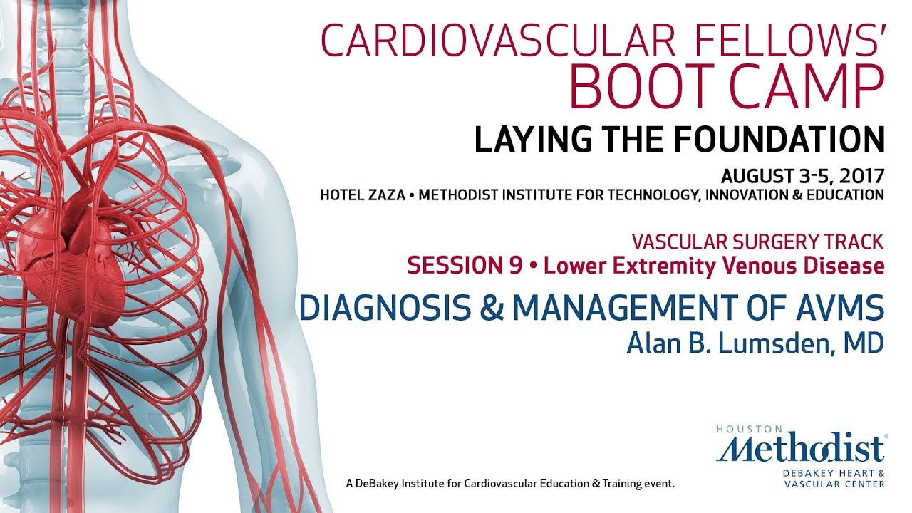 Diagnosis & Management of AVMs (Alan B  Lumsden, MD)