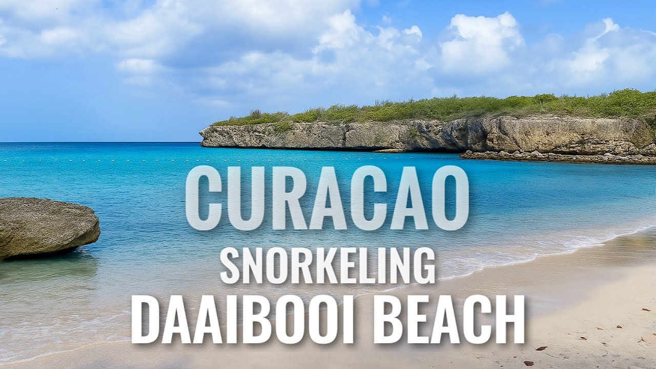 CURACAO Snorkeling Daaibooi Beach [4K]