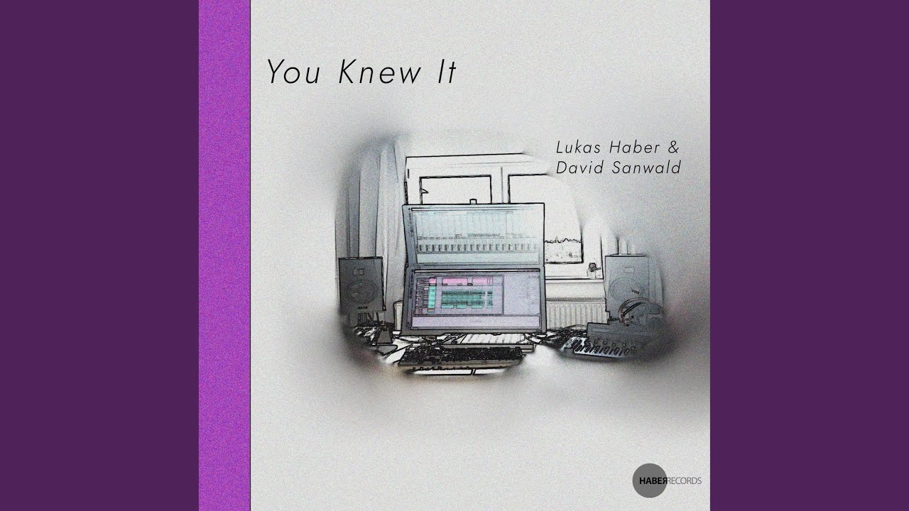 You Knew It (feat. David Sanwald)