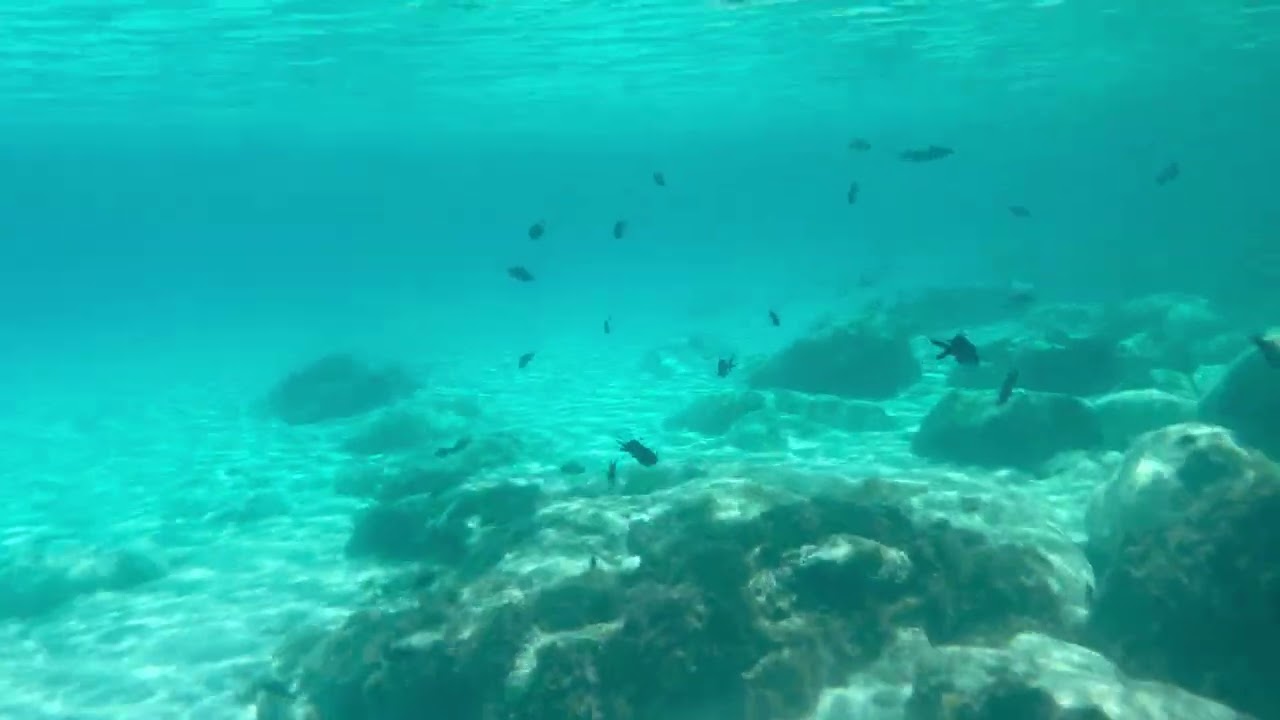 Snorkeling Lampedusa