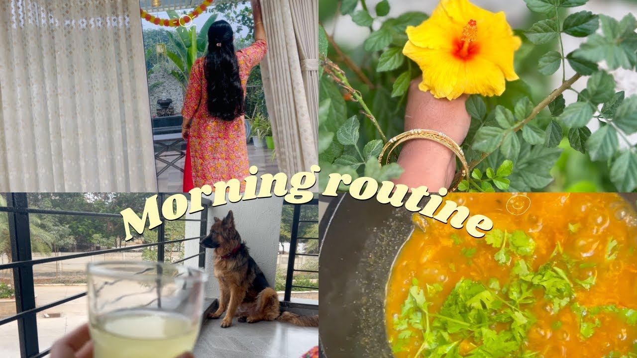 Daily morning Routine( 6 AM - 8 AM ) , Pet Dog Food GSD ( 3 years old ) , Gummadi Pulusu