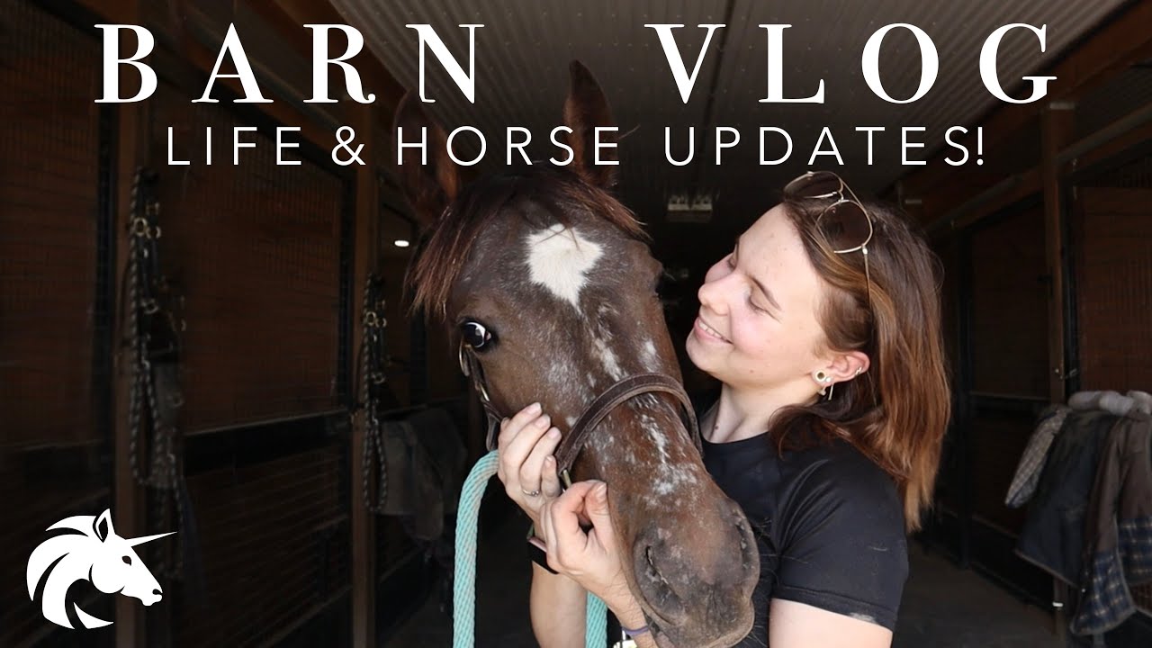 BARN VLOG | Life & Horse Updates! | Hailey Liberty