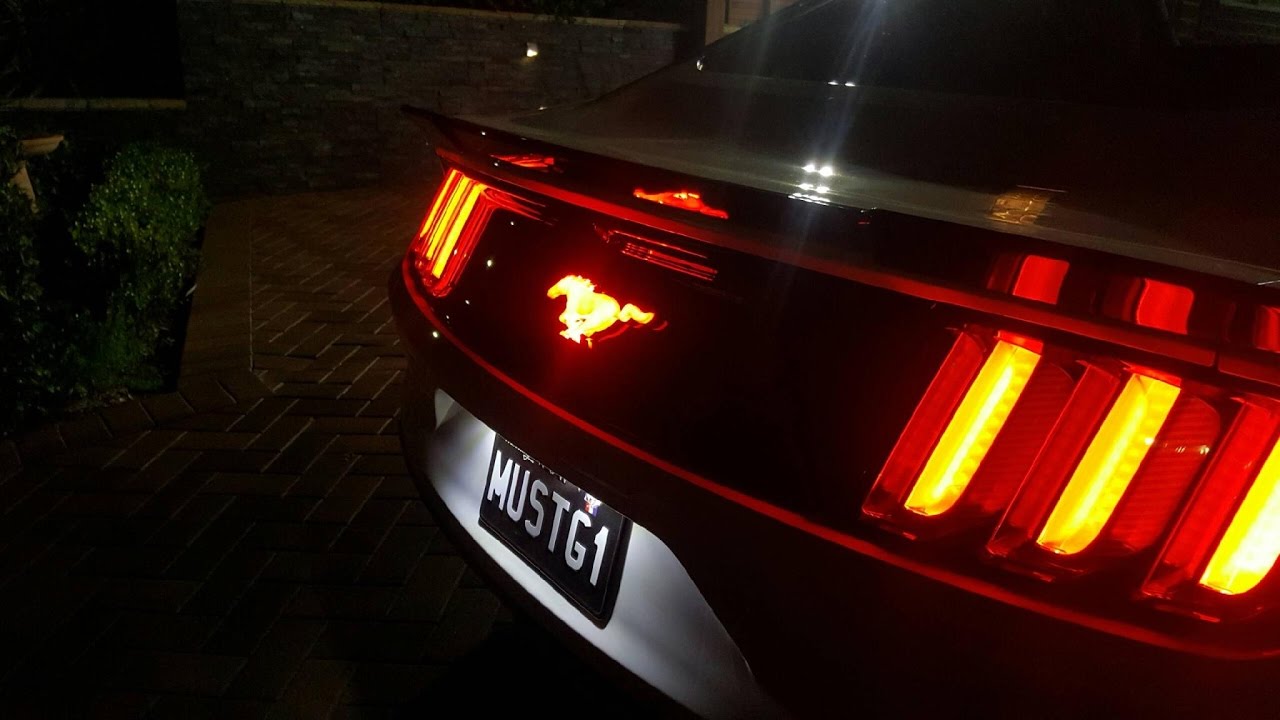 X-Lume Rear illuminated Pony Installation