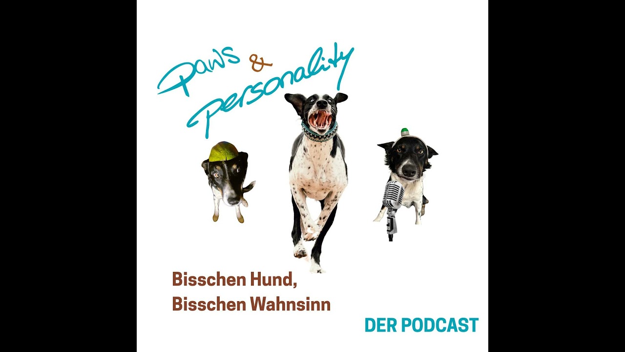 Bisschen Hund, bisschen Wahnsinn - Einmal queerbeet mit Igeln und Mänteln und mehr