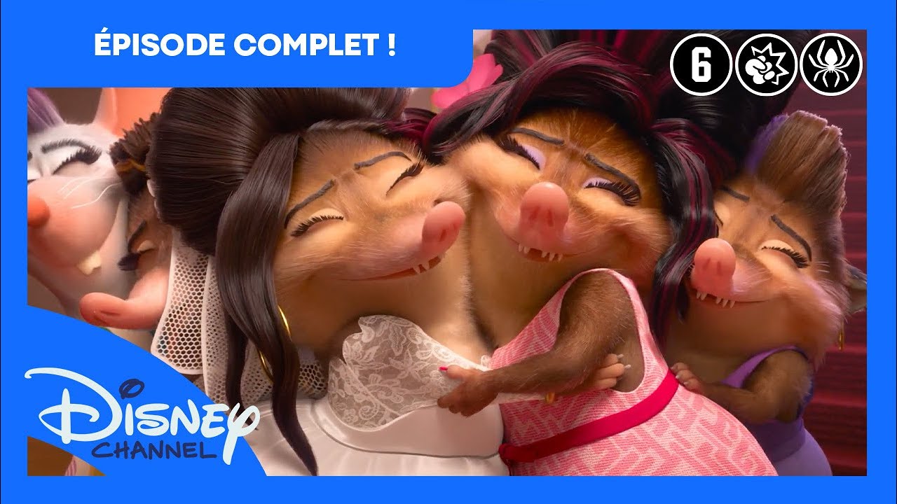 Zootropolis + | Projets de Mariage | Épisode Entier | Disney Channel Belgique