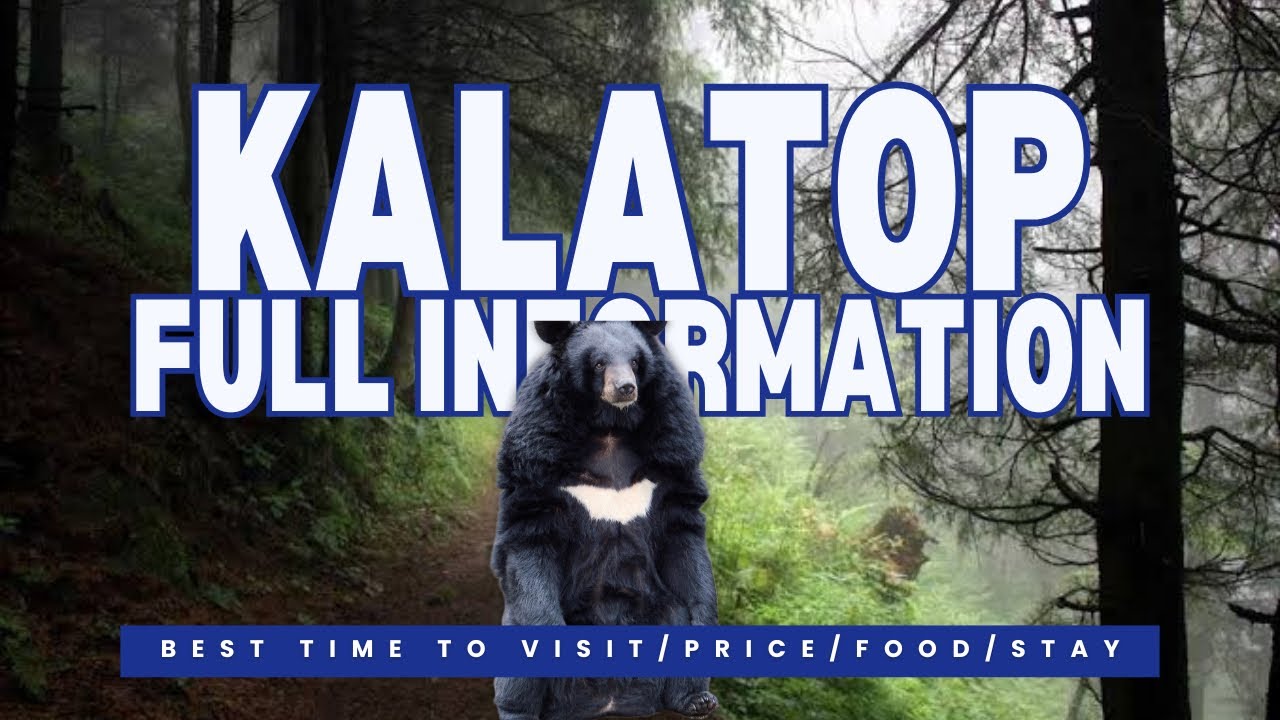 Kalatop Wildlife Sanctuary: Secret Trails & Unforgettable Dalhousie Adventure