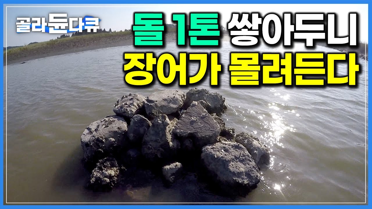 바다와 강 사이 설치한 함정. 알아서 기어들어오는 자연산 장어｜선사시대 전통 어법으로 고기 잡는 어부｜돌무덤 장어잡이｜극한직업｜#골라듄다큐