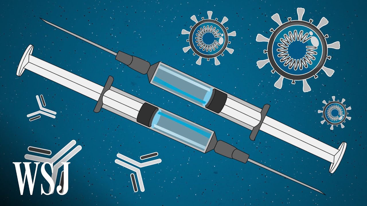 The Promise and Peril of Fast-Tracking the Coronavirus Vaccine | WSJ