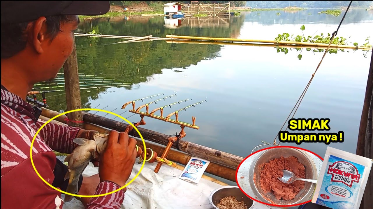 Perhatikan umpan geleng yang saya gunakan kali ini, asli gacor! || MANCING CIRATA TERBARU