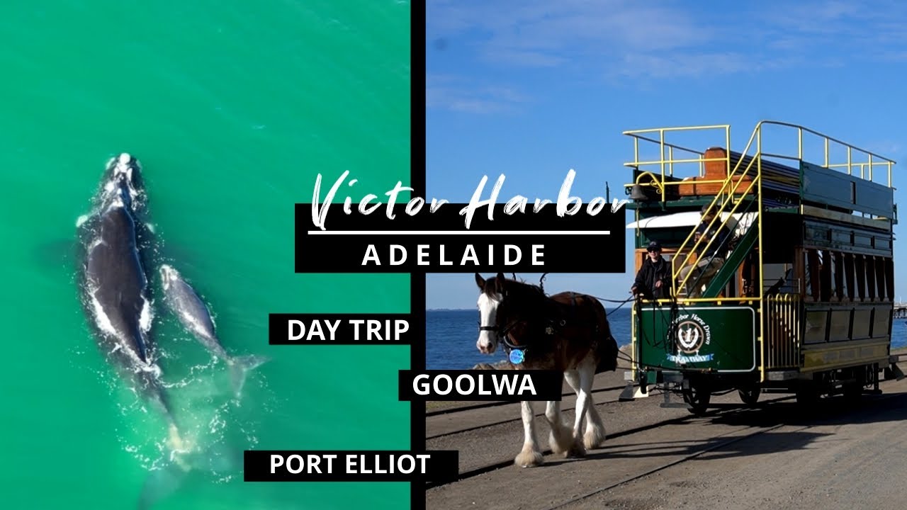 Day trip from Adelaide! Victor Harbor, Port Elliot and Goolwa!