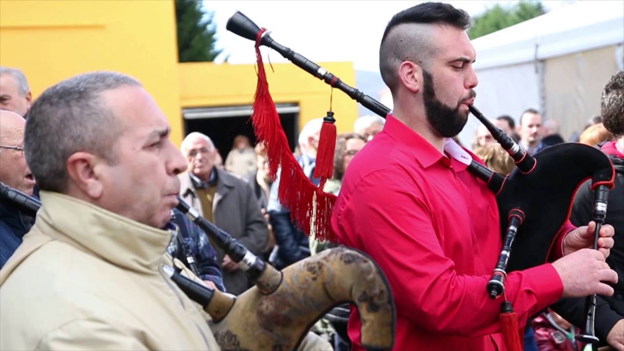 Mazaricos, desearás volver