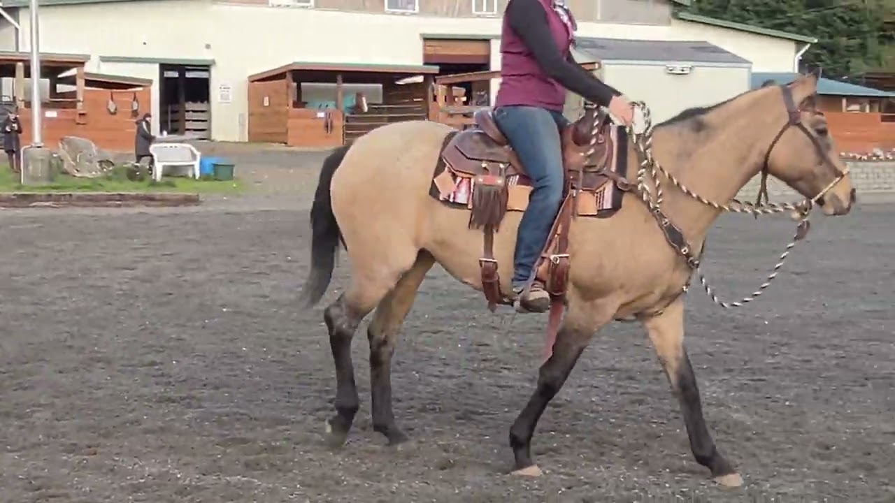 Gerd Heuschmann Clinic with Pepper