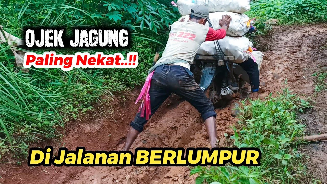 Ojek Jagung paling nekat di jalanan berlumpur