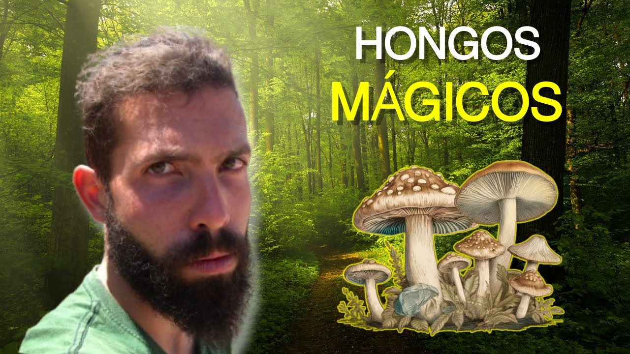 🍄Probé los HONGOS ALUCINÓGENOS 🤯 en SAN JOSÉ DEL PACÍFICO 🍄