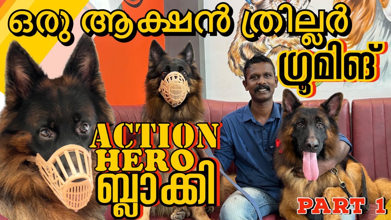 ഗ്രൂമിങ് സലൂണിൽ വൻ അലമ്പ്….| അപ്പനും പിള്ളേരും കലിപ്പാണേൽ ഞങ്ങൾ അതുക്കും മേലെ കലിപ്പാണ് |