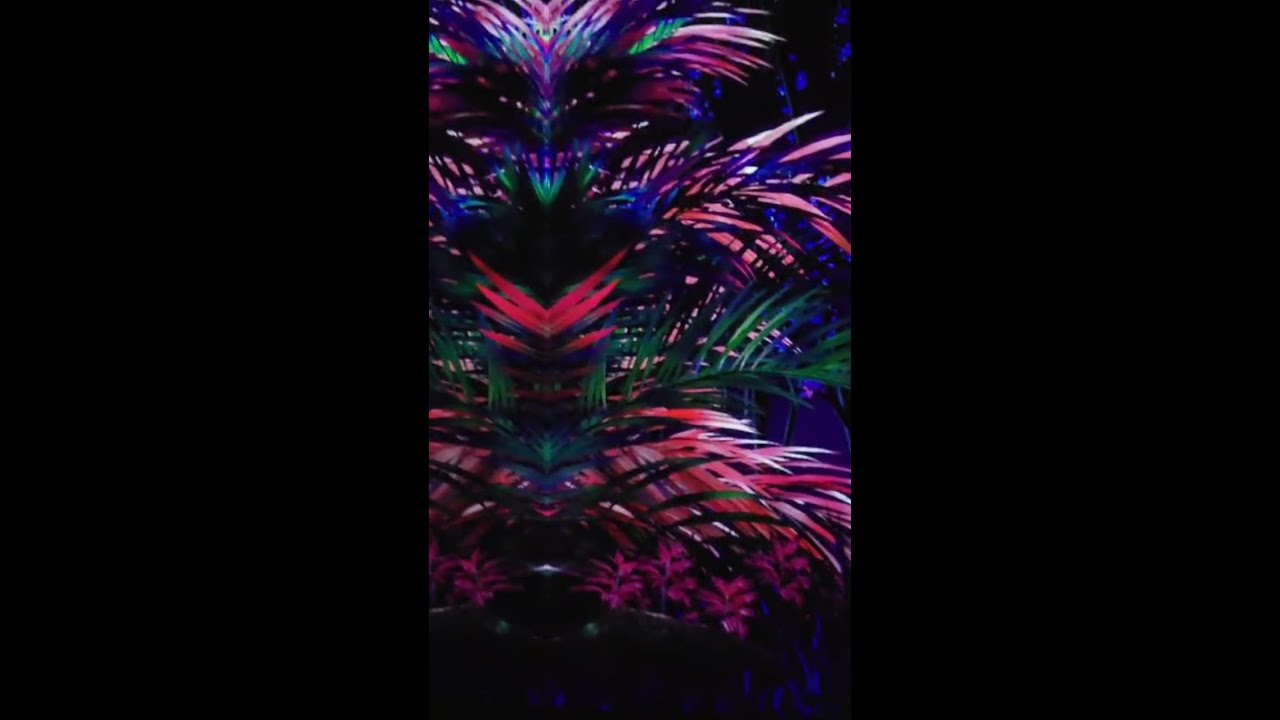 Full tour, Arte Museum #dubai #shorts #travel #tour #shortsviral #shortsfeed #tourism #shortvideo