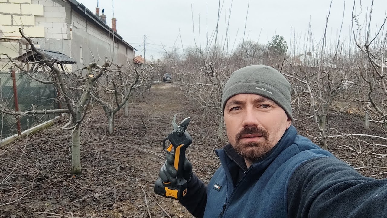 Livada de 80 de pomi curățata și pregătită pentru o producție record 🫐🍐🍒🍎🍏✅