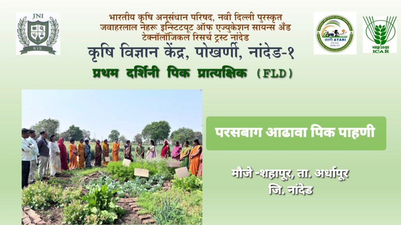 कृषि विज्ञान केंद्र, पोखर्णी मार्फत प्रथम दर्शिनी पिक प्रात्यक्षिक अंतर्गत परसबाग आढावा पाहणी 