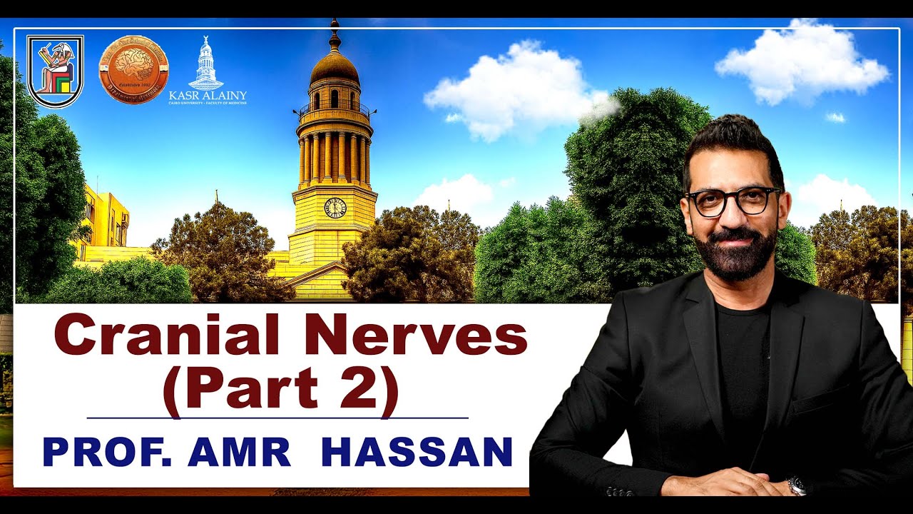 Cranial Nerves (Part 2)-أ.د.عمرو حسن الحسني أستاذ المخ و الأعصاب