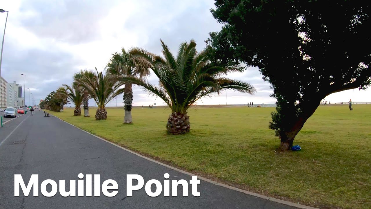 Seaside Serenity Exploring the Enchanting Beauty of Mouille Point