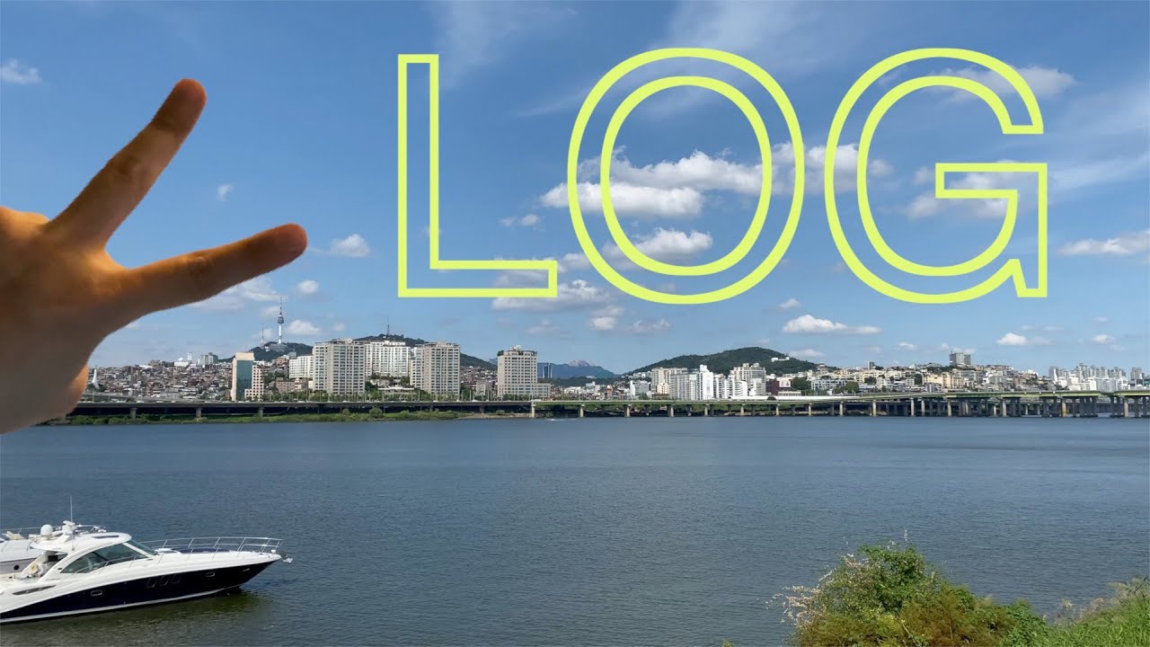 [SUB] VLOG Vol.9 (초계국수/육전/와인/마라오징어/얼린 샤인머스캣/먹방)
