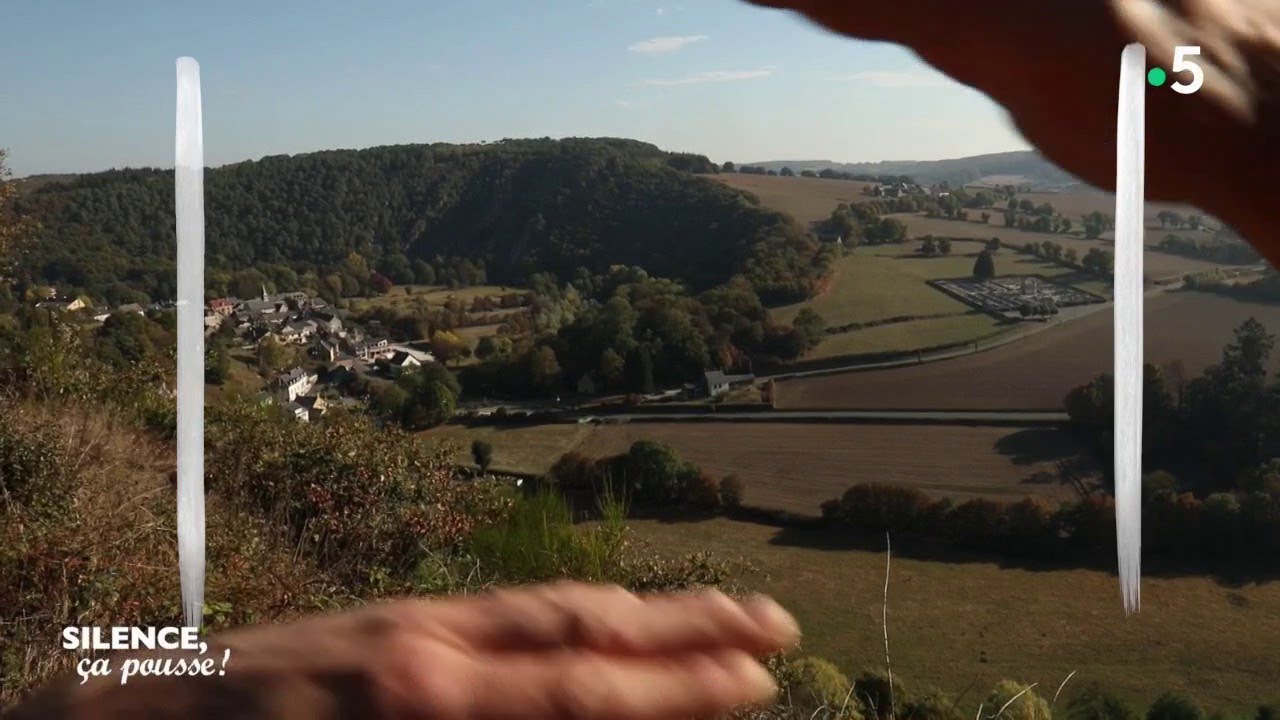 Paysage : les Alpes Mancelles - Silence, ça pousse !