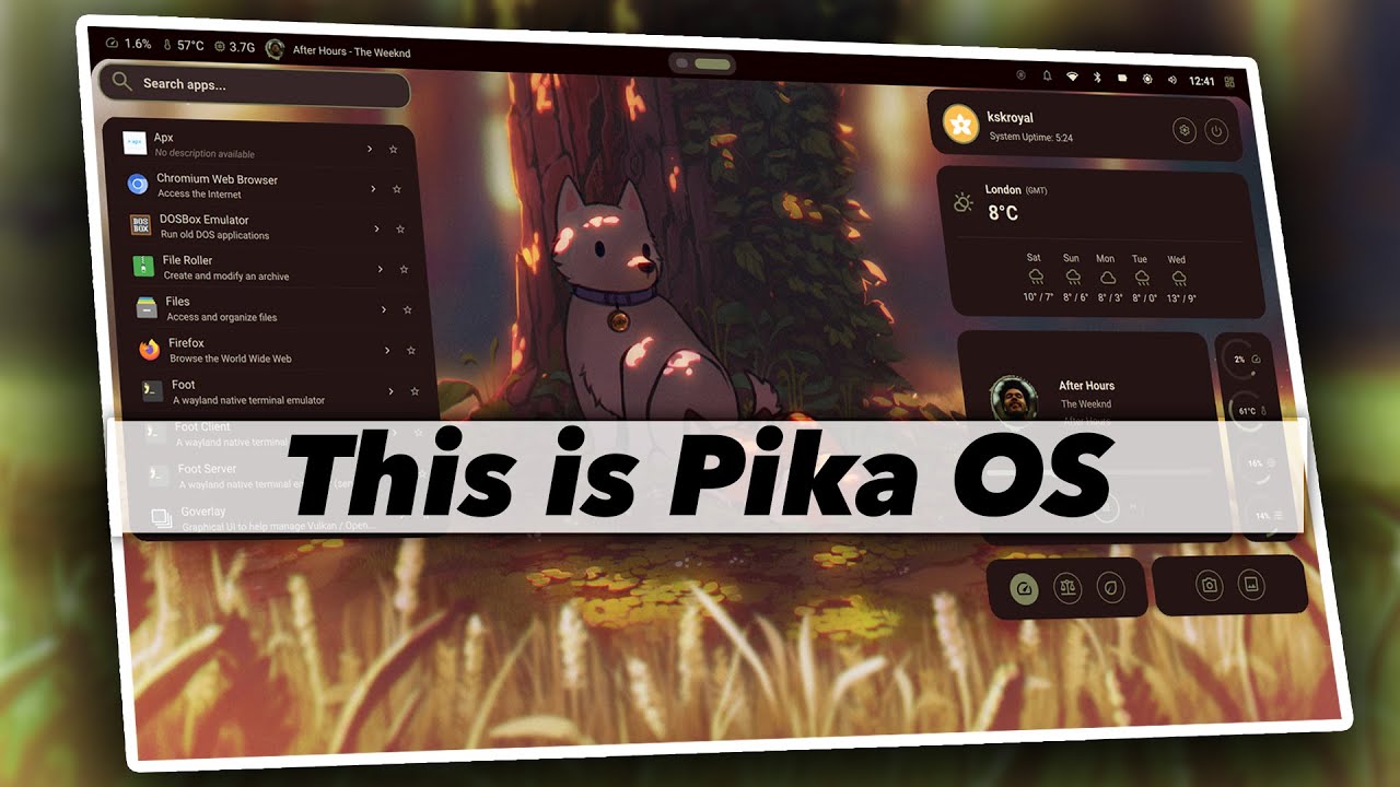 Это PIKA OS ДЛЯ ИГРЫ (с использованием оболочки HYPRLAND NOCTALIA)