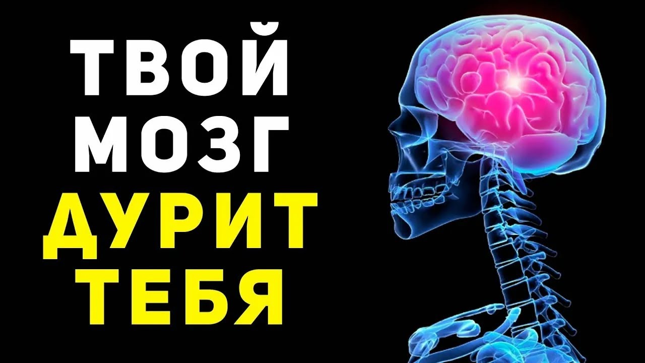 Твой мозг врет тебе! Как твой мозг обманывает тебя 