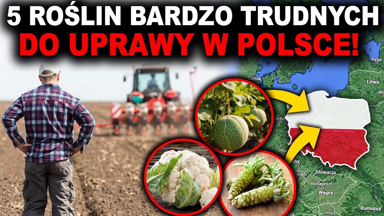 5 ROŚLIN WYJĄTKOWO TRUDNYCH DO UPRAWY W POLSCE!
