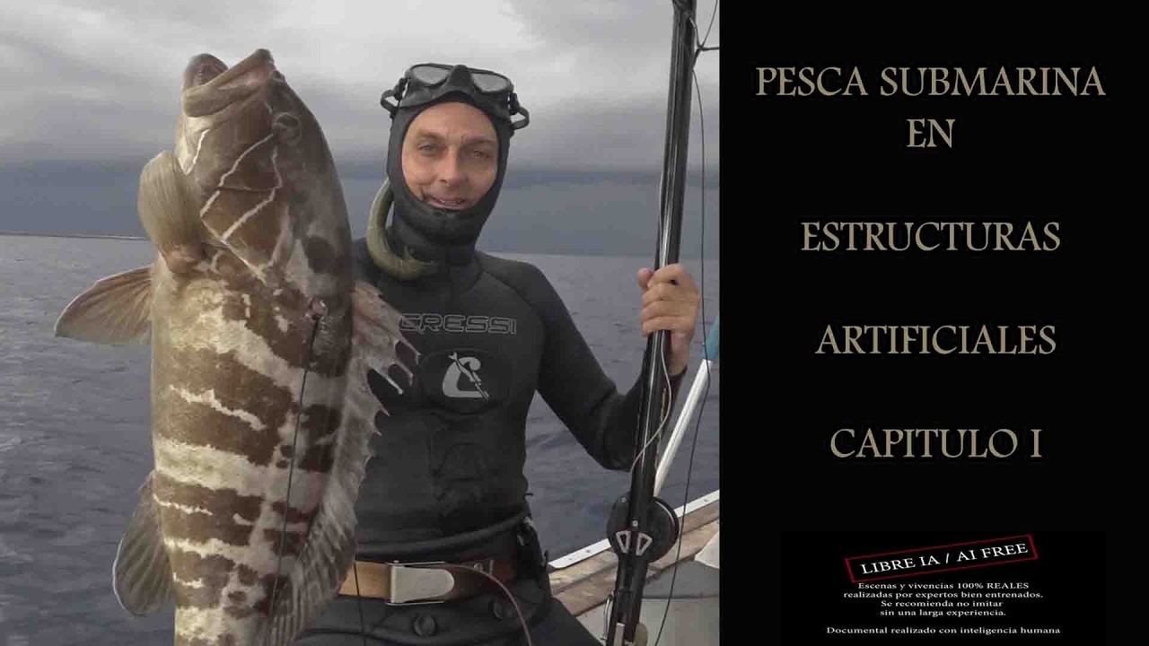 Pesca submarina en estructuras artificiales :  CAPITULO 1