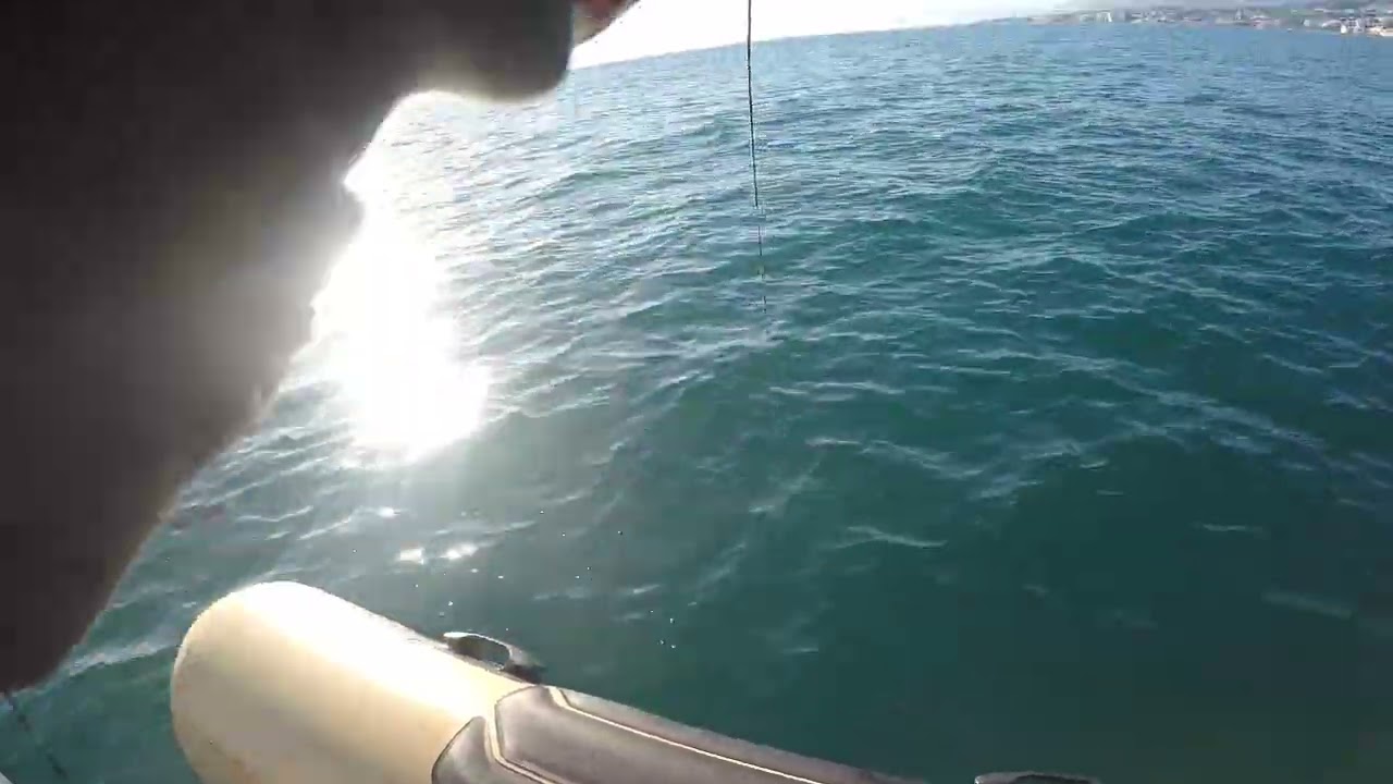 Sama al xipi evo rojo y picada al vivo con calamar que suelta al final, posible abadejo 