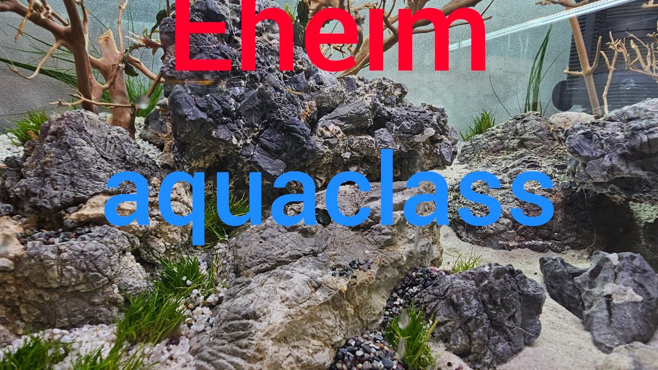 Eheim aquaclass 66