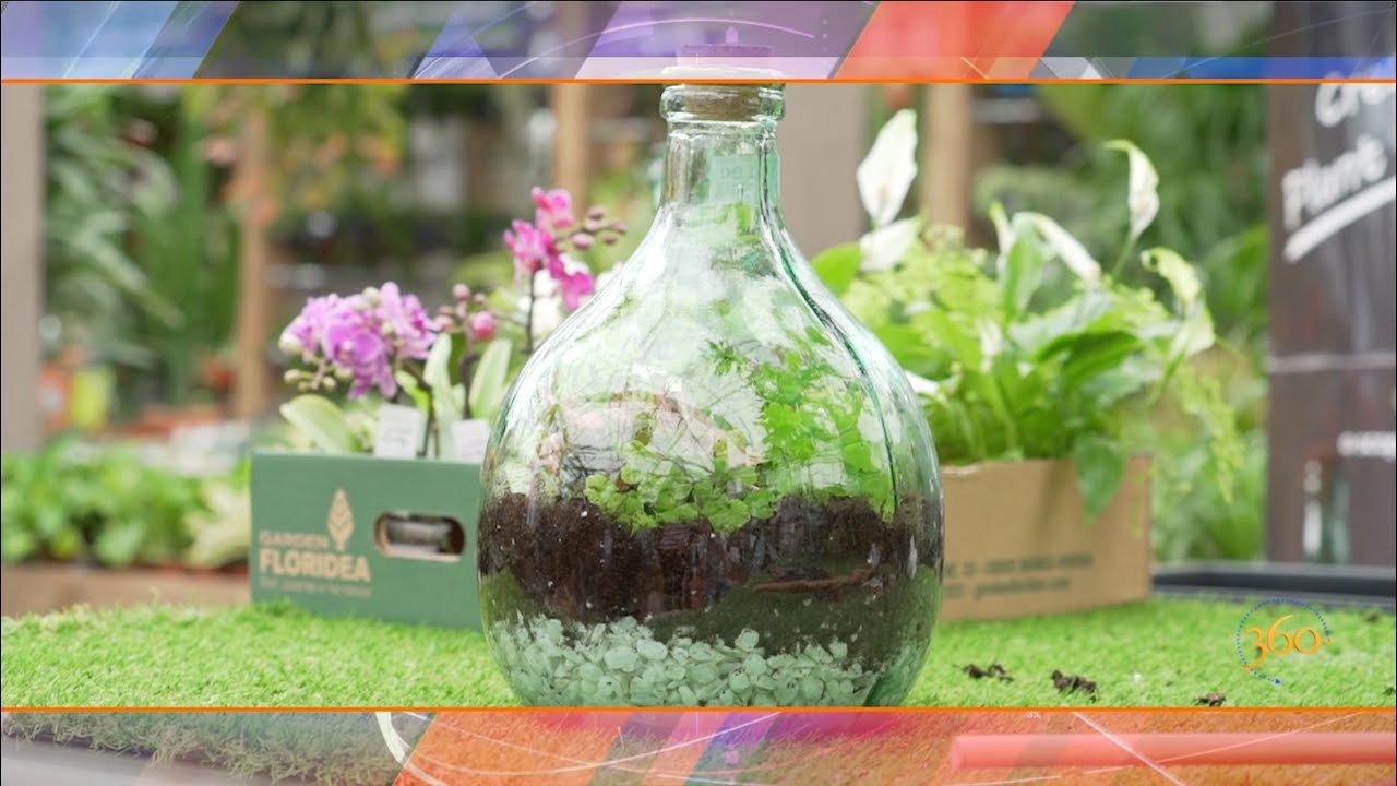 Terrarium