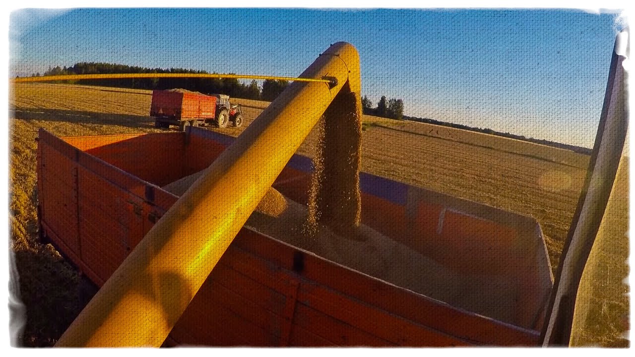 Puintia ja muuta viikko 35 juttuja